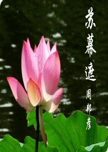 苏幕遮_周邦彦4