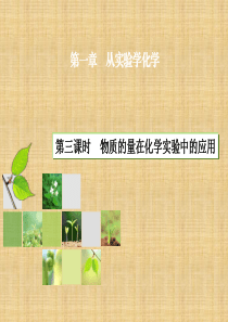 2013-2014学年高一化学配套课件(人教版 必修1)：第1章 第2节 第3课时  物质的量在化学