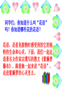 紫藤萝瀑布(公开课特等奖)