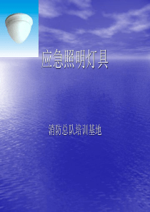 应急照明灯和疏散指示标志
