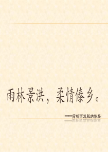 介绍西双版纳傣族ppt