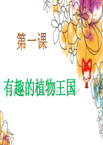 有趣的植物王国ppt