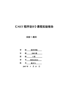 实验报告模板