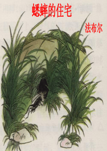 《蟋蟀的住宅》PPT课件优秀