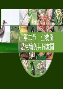 51生物圈是生物的共同家园(苏教版)