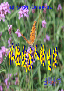 体验残疾人的生活