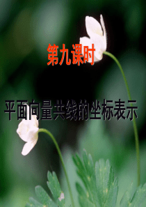 平面向量共线的坐标表示资料