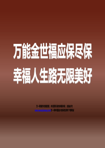 2013年产说会课件阳光金世福49页