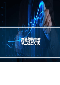 商业规划方案