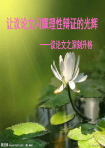 思辨性作文训练