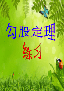 勾股定理练习题(精品)