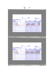 广西电大会计模拟实验_总账