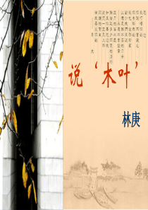 说木叶优质课