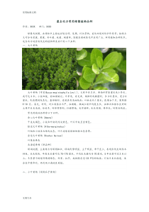 全面北方常用绿篱植物品种