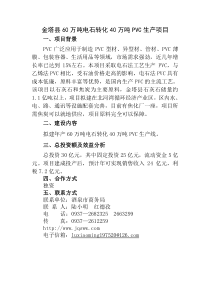 金塔县60万吨电石转化40万吨PVC生产项目