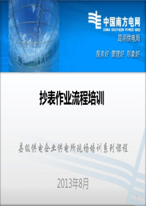 抄表作业流程(成冰)