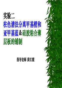 ch02柱色谱法分离甲基橙和亚甲基蓝