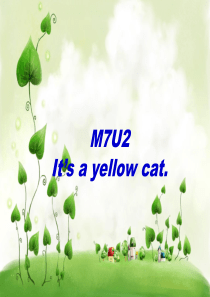 It’s a yellow cat.小学英语课件