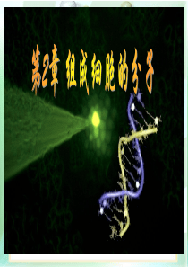 高一生物《细胞中的糖类和脂质》ppt课件