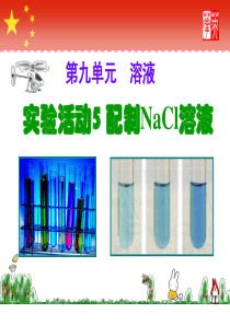实验活动5-一定溶质质量分数的氯化钠溶液的配制---副本