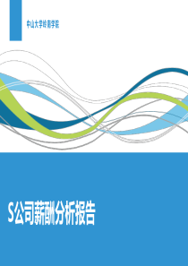 S公司薪酬分析报告