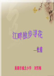 江畔独步寻花课件 (2)