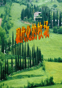 现代化的牧场(好)