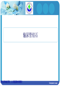 输尿管结石PPT