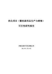 某公司项目可行性研究报告