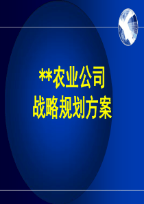 某农业公司策划方案.