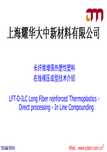上海耀华大中新材料有限公司LFT-D简介