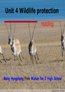 全国高中英语优质课课件――wildlife_protection