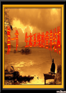 高二生物 生态系统的营养结构 课件