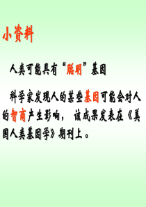 高二生物_基因在染色体上_ppt