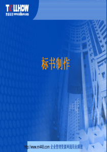 某科技公司标书制作经典培训教程