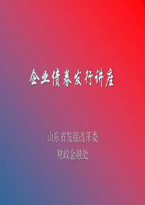企业债――发改委潘青老师课件