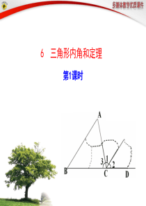 鲁教版七下三角形内角和定理时模板