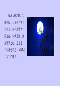记承天寺夜游  公开课获奖课件
