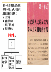 第1课  殖民地人民的反抗斗争