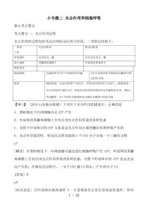 高三生物复习教案：专题2 细胞代谢2 光合作用和细胞呼吸