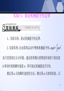 高考物理一轮总复习 实验六：验证机械能守恒定律课件