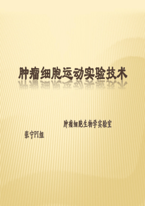 细胞迁移和侵袭实验技术