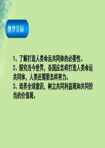 九年级道德与法治下册我们共同的世界第二课构建人类命运共同体第2框谋求互利共赢课件新人教版