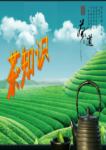 茶文化知识