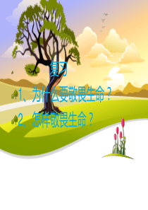 守护生命  精品课件