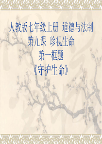 守护生命课件