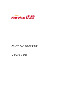 NBR系列路由器RGNOS9.17版本配置手册_第十五部分 运营商专网方案配置指导