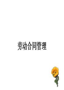 劳动合同相关知识