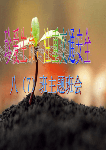 交通安全主题班会ppt