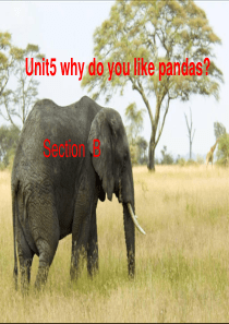 新教材七年级下册unit5 sectionB